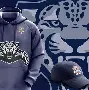 关于关东雪豹队鏖战关东暴熊队，拳击常规赛守住胜果，替补奇兵立功。禁区内连续解围的信息